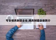 专业模具制造企业,模具制造企业简介