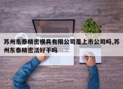 苏州东泰精密模具有限公司是上市公司吗,苏州东泰精密活好干吗