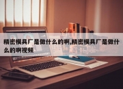 精密模具厂是做什么的啊,精密模具厂是做什么的啊视频