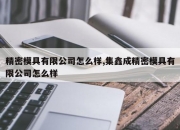 精密模具有限公司怎么样,集鑫成精密模具有限公司怎么样