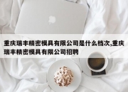 重庆瑞丰精密模具有限公司是什么档次,重庆瑞丰精密模具有限公司招聘