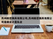 苏州精密模具有限公司,苏州精密模具有限公司是国企还是私企