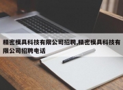 精密模具科技有限公司招聘,精密模具科技有限公司招聘电话