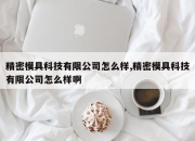 精密模具科技有限公司怎么样,精密模具科技有限公司怎么样啊