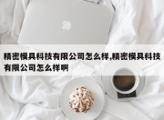 精密模具科技有限公司怎么样,精密模具科技有限公司怎么样啊
