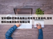 宝利根精密模具有限公司有军工背景吗,宝利根科技集团股份有限公司