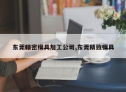 东莞精密模具加工公司,东莞精致模具