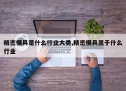 精密模具是什么行业大类,精密模具属于什么行业