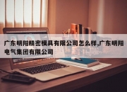 广东明阳精密模具有限公司怎么样,广东明阳电气集团有限公司