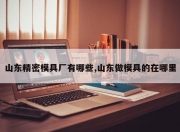 山东精密模具厂有哪些,山东做模具的在哪里