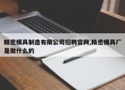 精密模具制造有限公司招聘官网,精密模具厂是做什么的