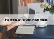 上海精密模具公司招聘,上海精密模具厂