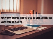 宁波誉立精密模具有限公司福利待遇如何,慈溪誉立模具怎么样