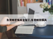 东莞精密模具全加工,东莞精致模具
