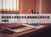 精密模具公司简介范文,精密模具公司简介范文图片