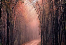 模具加工过程检验,模具过程检验记录表格规范