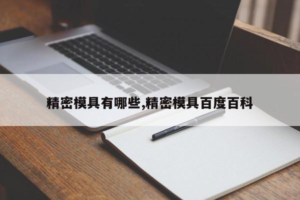 精密模具有哪些,精密模具百度百科