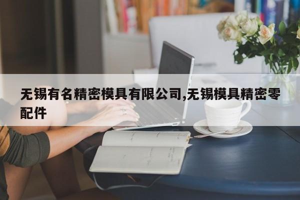 无锡有名精密模具有限公司,无锡模具精密零配件