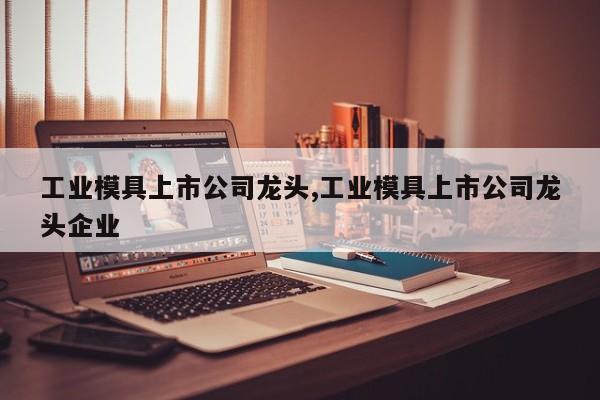工业模具上市公司龙头,工业模具上市公司龙头企业