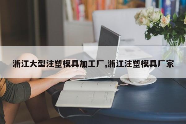浙江大型注塑模具加工厂,浙江注塑模具厂家