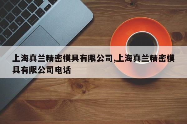 上海真兰精密模具有限公司,上海真兰精密模具有限公司电话