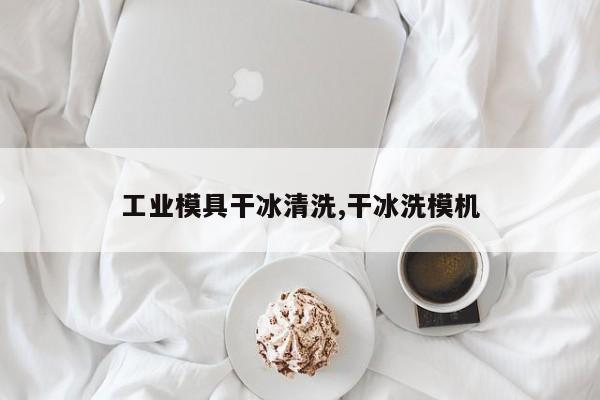 工业模具干冰清洗,干冰洗模机