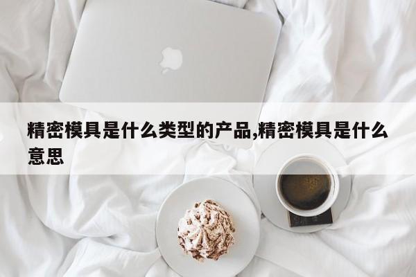 精密模具是什么类型的产品,精密模具是什么意思