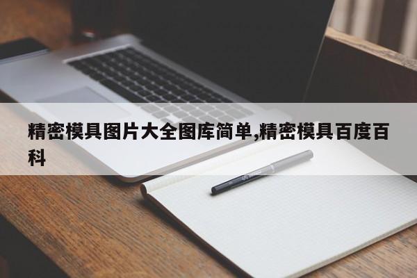 精密模具图片大全图库简单,精密模具百度百科